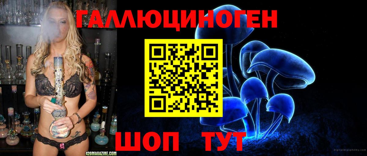 Псилоцибиновые грибы Cubensis Надым