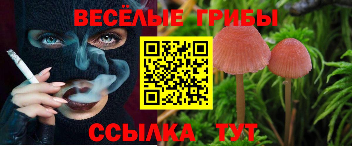 A PVP Надым