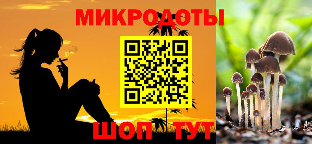 Псилоцибиновые грибы Psilocybine cubensis  Вход с VPN  Надым 